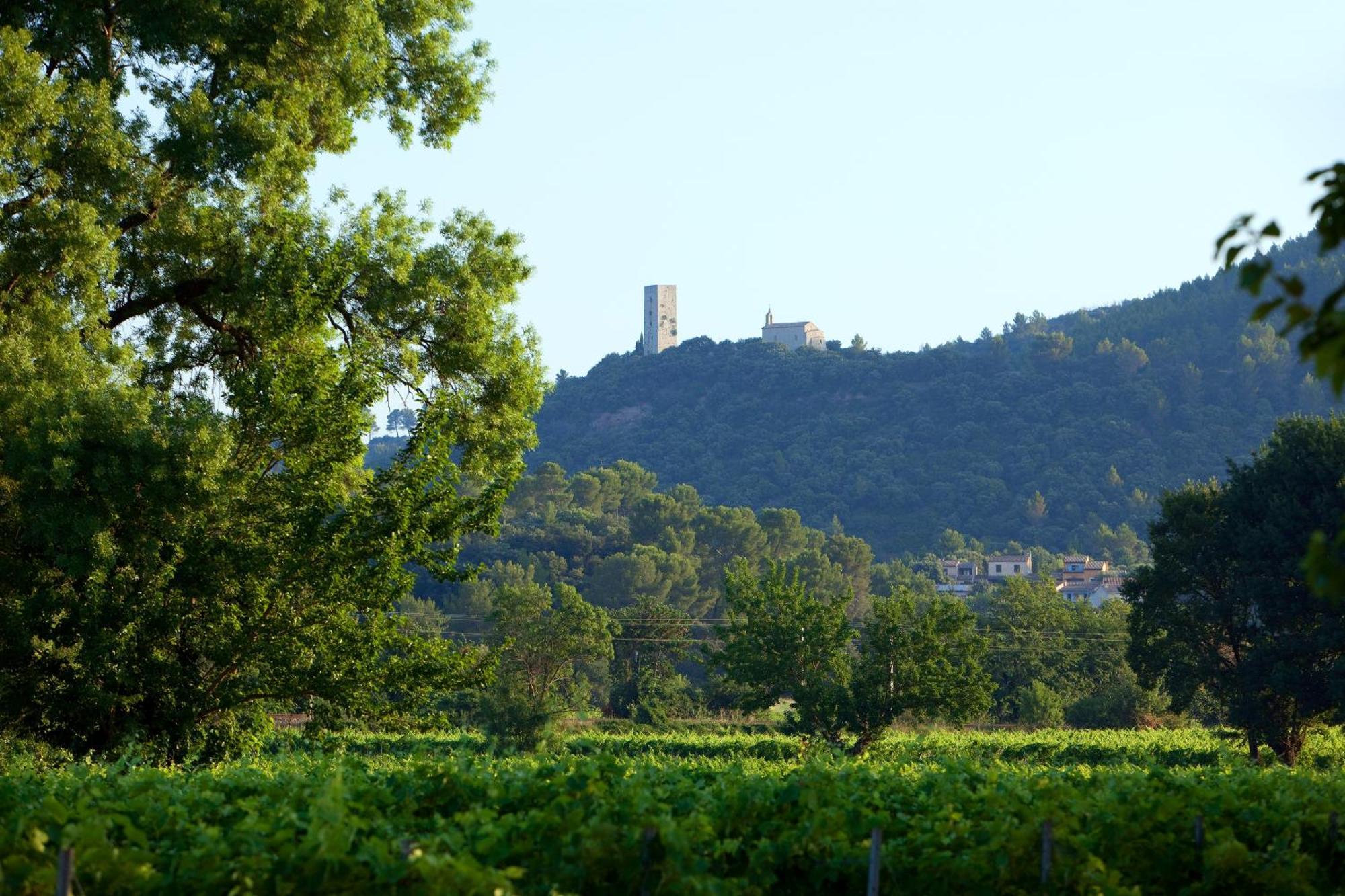 Chateau De Saint Martin Taradeau Экстерьер фото