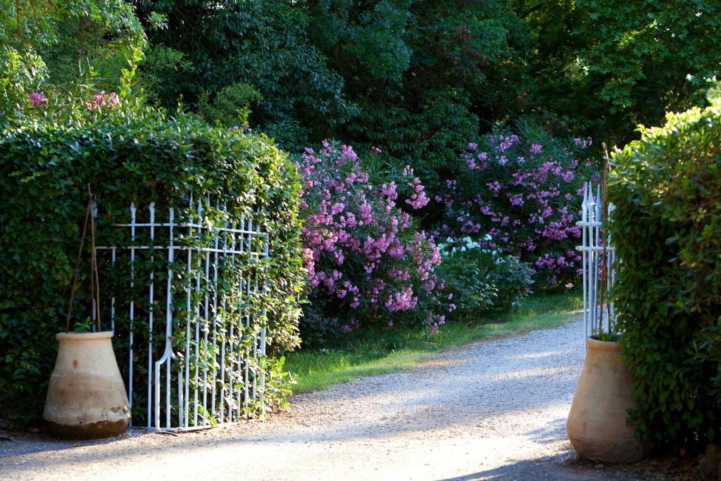 Chateau De Saint Martin Taradeau Экстерьер фото